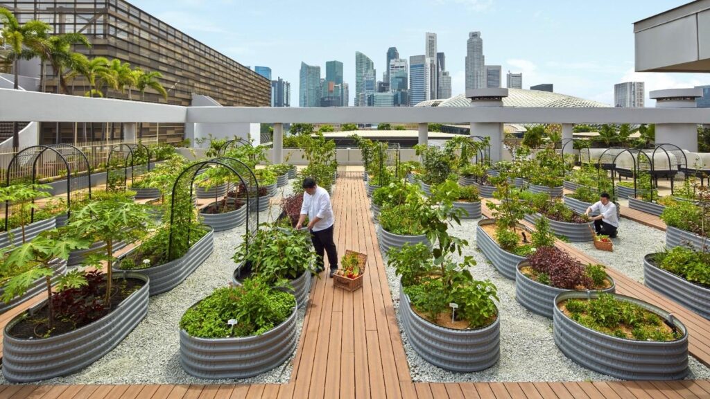 a hotel rooftop garden