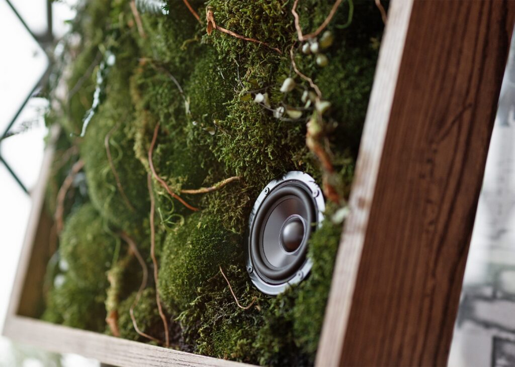 a unique music speaker design with real preserved moss