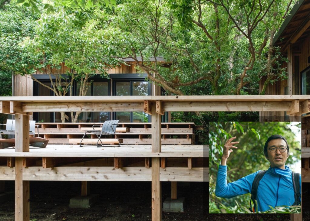 stilt wooden cabin in a forest